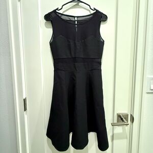 Elizabeth and James Black Mesh Fit and Flare Mini Dress